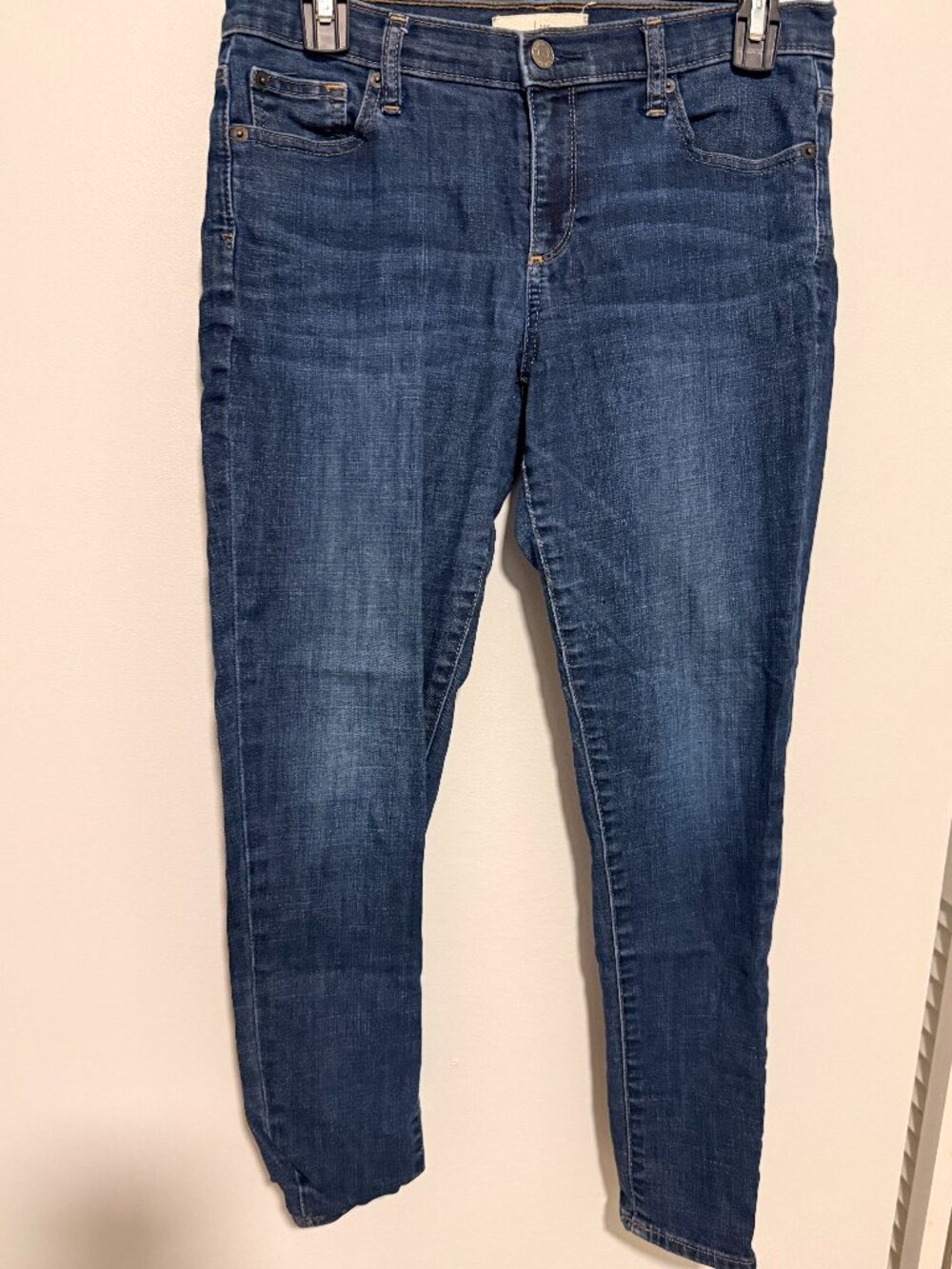 Gap 1969 True Skinny Blue Jeans Size 28P Petite